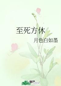至死方休封面