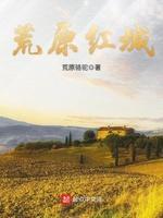 荒原红城封面