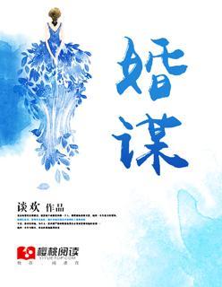 婚谋封面