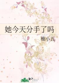 她今天分手了吗封面