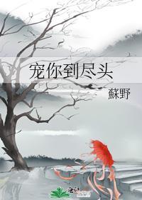 宠你到尽头封面