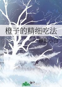 橙子的精细吃法封面