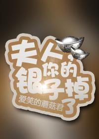 夫人，你的银子掉了GL封面