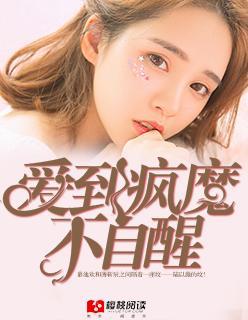 爱到疯魔不自醒封面