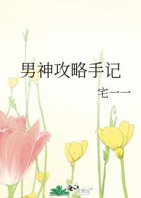 男神攻略手记封面