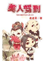 美人驾到封面