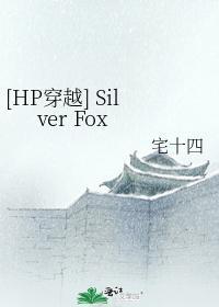 [HP穿越] Silver Fox封面