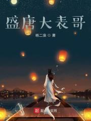 盛唐大表哥封面