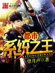 都市系统之王封面