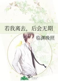若我离去，后会无期封面