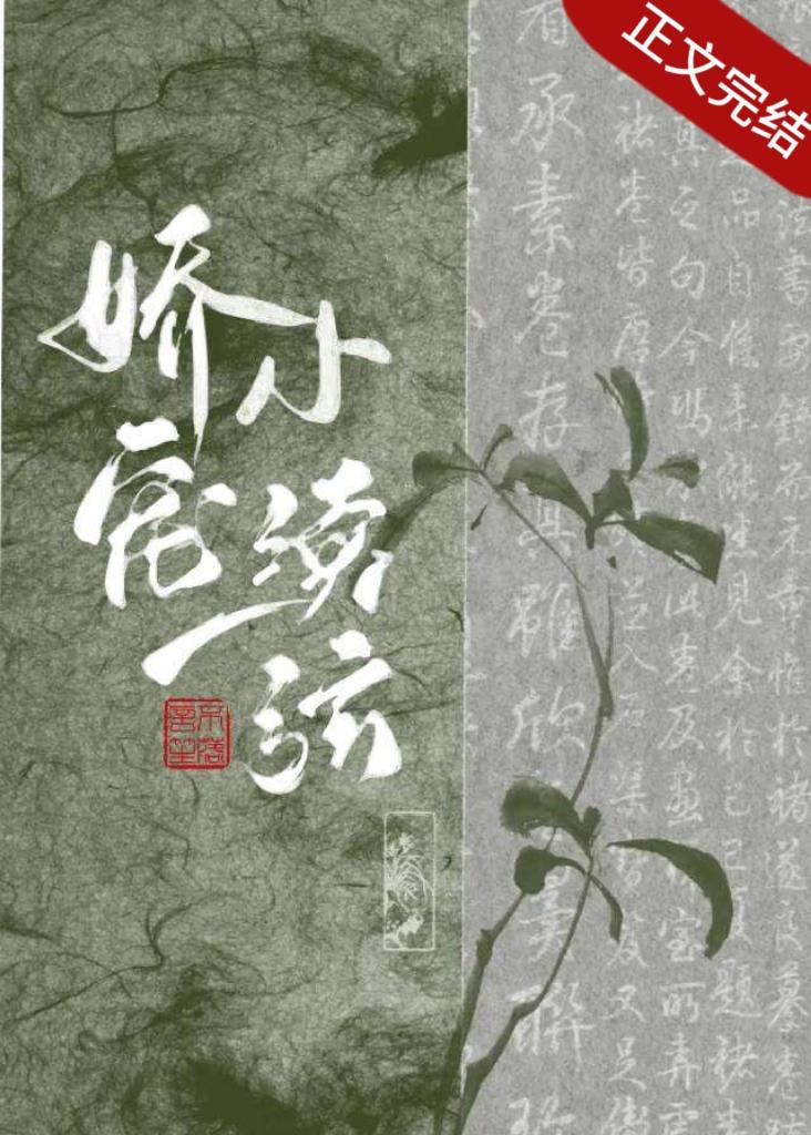 世子小夫人笨蛋日常封面