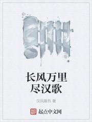 长风万里尽汉歌封面