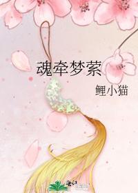 魂牵梦萦封面