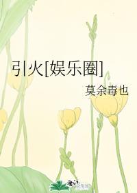 引火[娱乐圈]全文封面