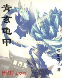 龟甲作品集封面