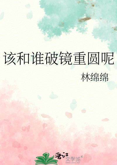 该和谁破镜重圆呢封面