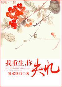 我重生，你失忆封面