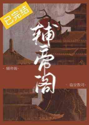 辅帝阁封面