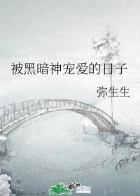 被黑暗神宠爱的日子封面