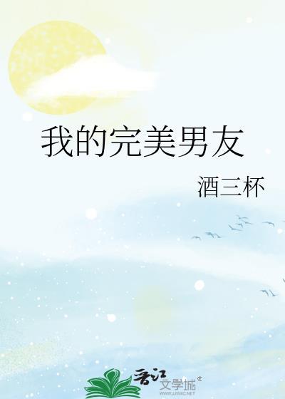 我的完美男友封面
