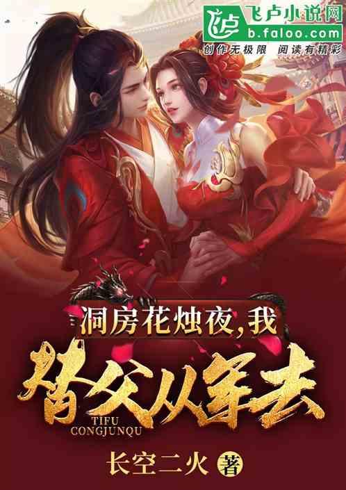 洞房花烛夜，我替父从军去封面