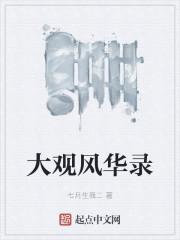 大观风华录封面