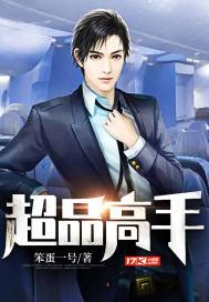 超品高手封面