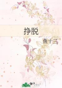 挣脱封面
