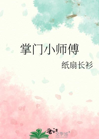 掌门小师傅封面