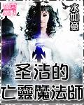 圣洁的亡灵魔法师封面