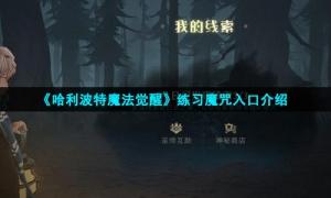 《哈利波特魔法觉醒》练习魔咒入口介绍封面