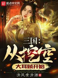 三国：从挖空大耳贼开始封面