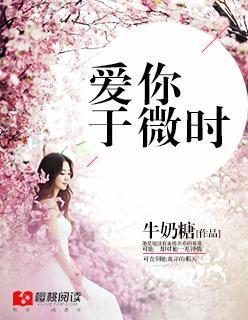 爱你于微时封面