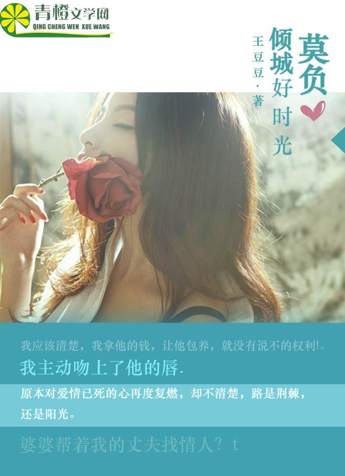 莫负倾城好时光封面