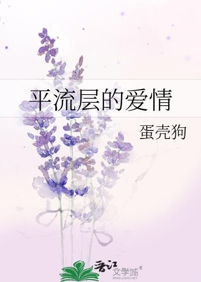 平流层的爱情封面