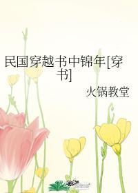 民国穿越书中锦年[穿书]封面