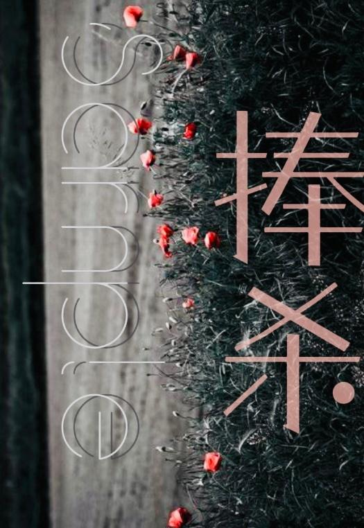 捧杀封面