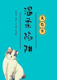 温柔陷阱[娱乐圈]封面