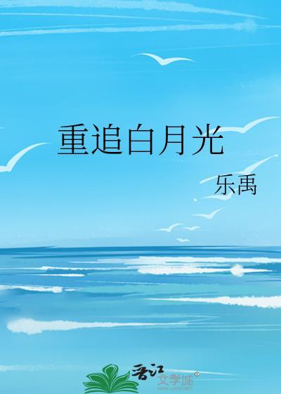 重追白月光封面