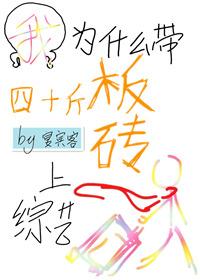 我为什么带四十斤板砖上综艺封面