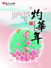 灼华年封面