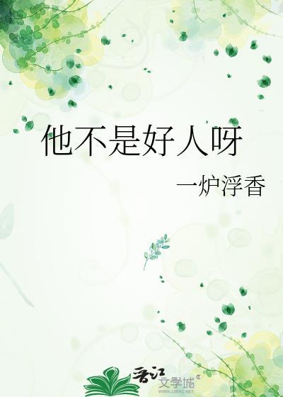 他不是好人呀封面