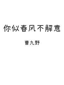 你似春风不解意封面