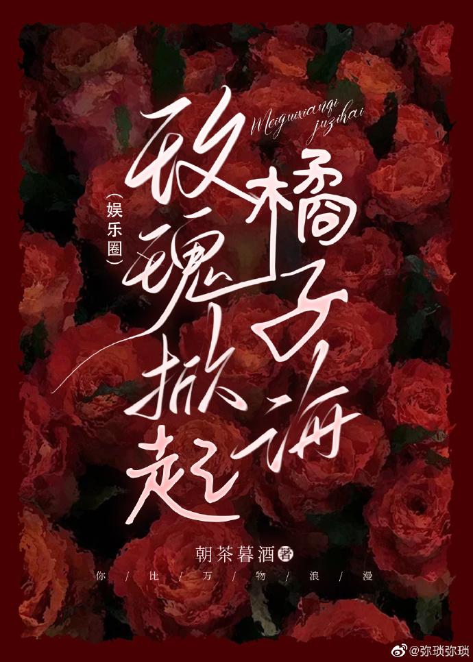 玫瑰掀起橘子海封面