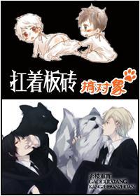 扛着板砖搞对象封面
