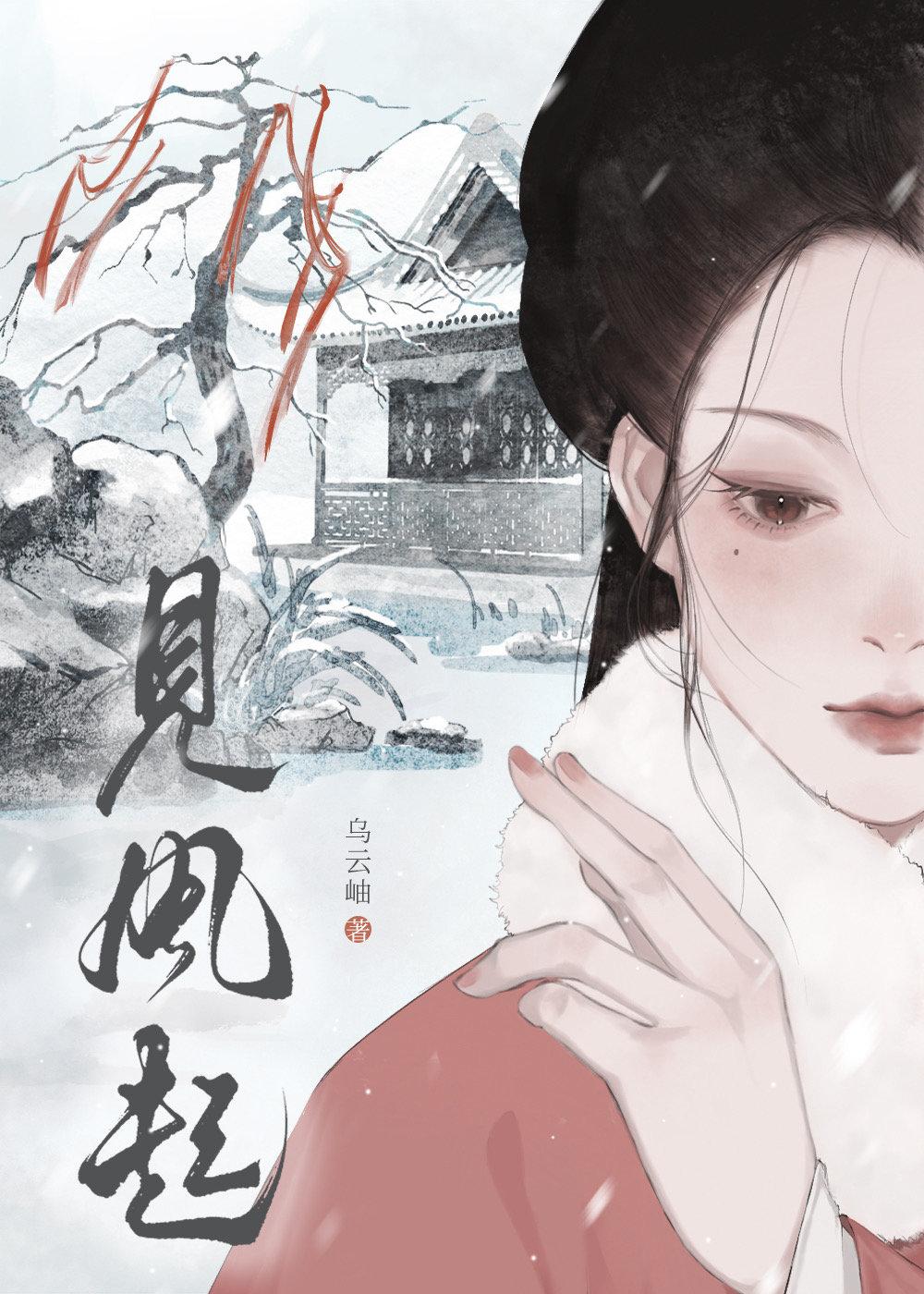 见风起封面