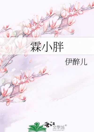 霖小胖封面