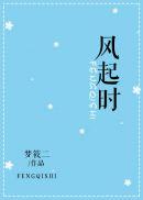 风起时封面