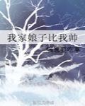 我家娘子比我帅封面