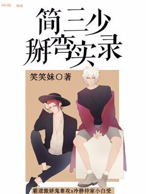 简三少恋爱实录封面